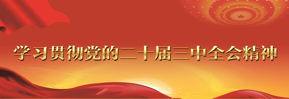 學(xué)習(xí)貫徹黨的二十屆三中全會(huì)精神